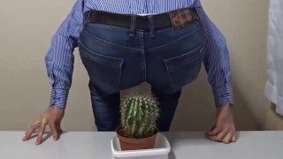 Old man tries to sit on cactus